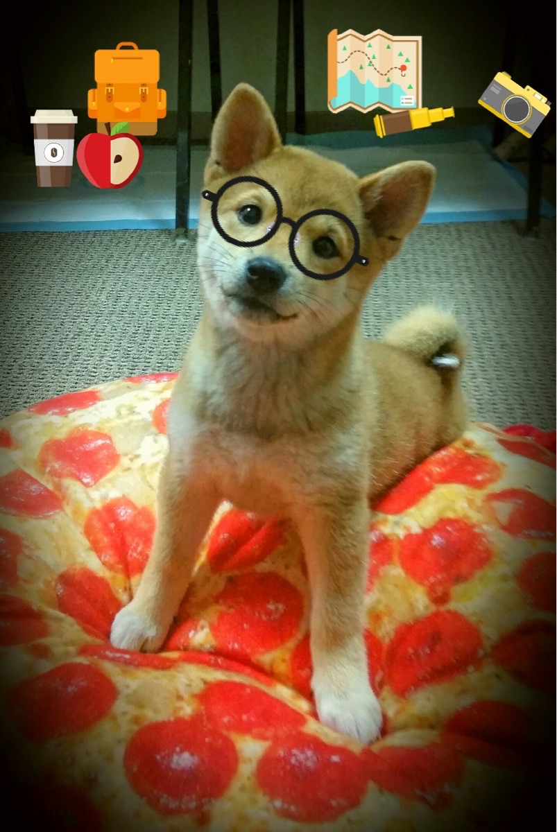 雷速体育-南美铁壁粉碎那不勒斯，萨内关键一击改写欧冠格局