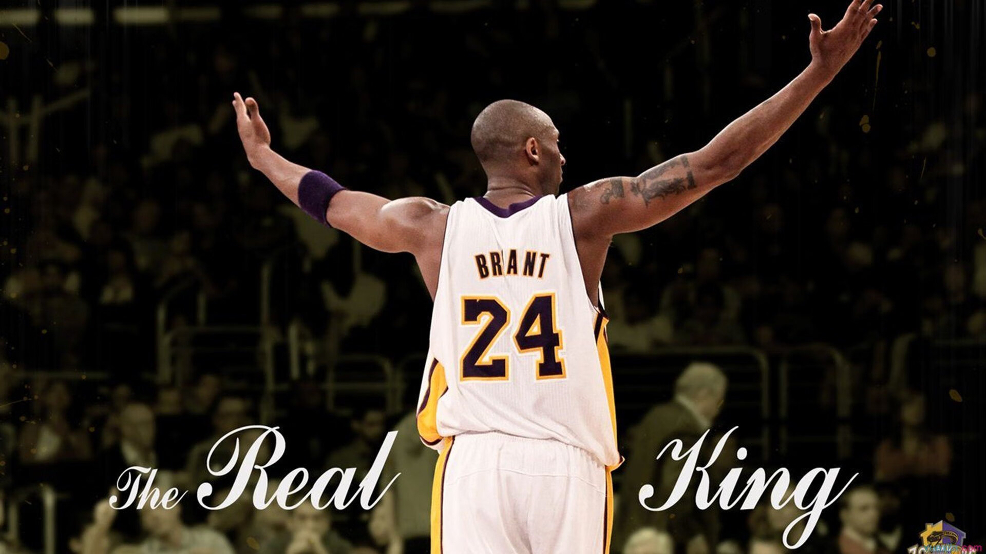 雷速体育直播入口-赛道上的心跳，锡安如何在新赛季揭幕战之夜点燃全队引擎