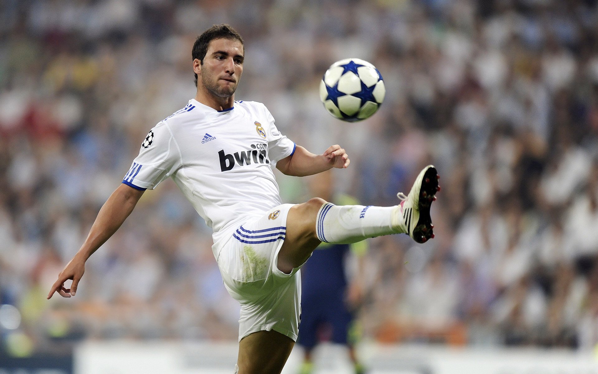 罗德里关键回合不手软，牙买加战术压制巴拉圭—一场教科书式的团队与个人英雄主义结合